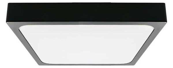 LED Koupelnové stropní svítidlo LED/30W/230V 3000K IP44 černá
