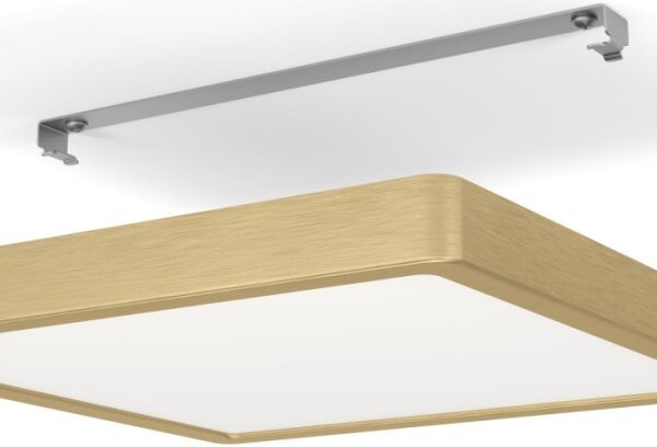 Eglo 900184 - LED Stropní svítidlo FUEVA LED/20,5W/230V