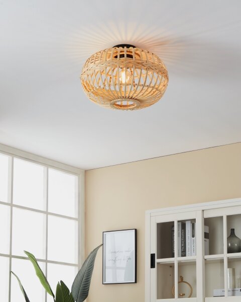 Eglo 43723 - Stropní svítidlo AMSFIELD 1xE27/40W/230V
