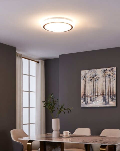 Eglo 900149 - LED Stropní svítidlo CAPASSO LED/14,6W/230V