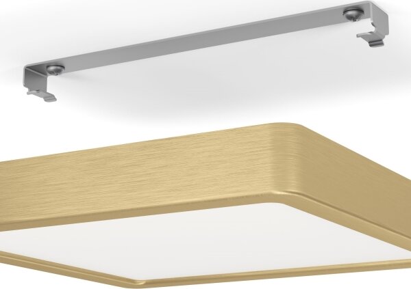 Eglo 900183 - LED Stropní svítidlo FUEVA LED/17W/230V