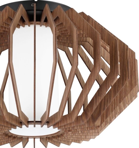 Eglo 900385 - Stropní svítidlo RUSTICARIA 1xE27/40W/230V