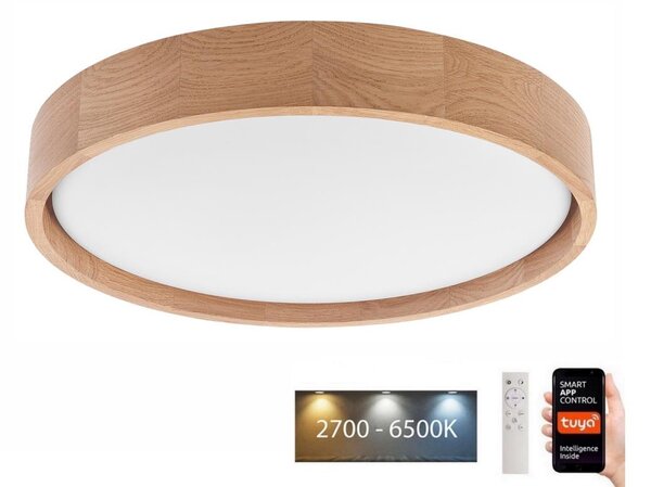 Brilagi - LED Stropní svítidlo MANAROLA SMART LED/24W/230V + DO Tuya