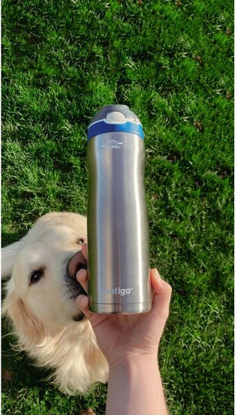 Contigo Termolahev Ashland Chill 590 ml, Monaco