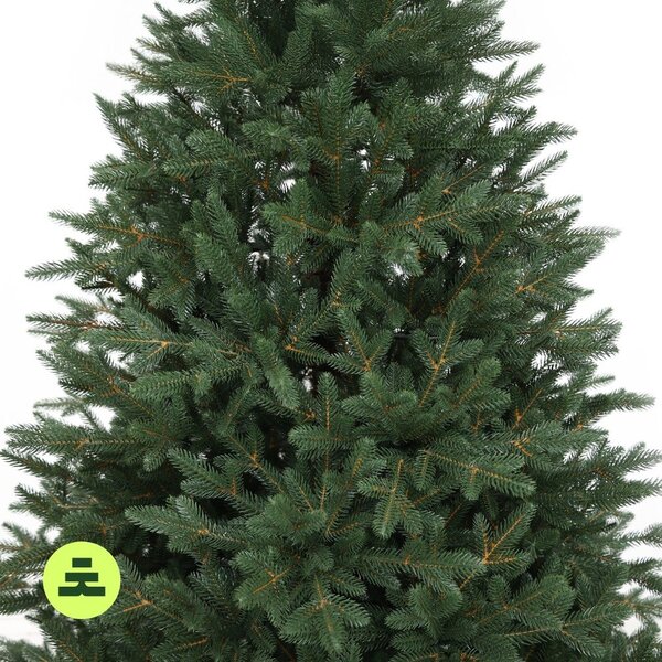 Umělý vánoční stromeček výška 150 cm Canadian Spruce 3D – Můj Stromeček