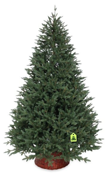 Umělý vánoční stromeček výška 150 cm Canadian Spruce 3D – Můj Stromeček