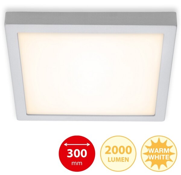 Briloner 7142-014 - LED Stropní svítidlo FIRE LED/21W/230V 3000K