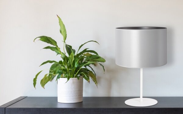 Duolla - Stolní lampa CANNES 1xE14/15W/230V pr. 20 cm stříbrná/bílá