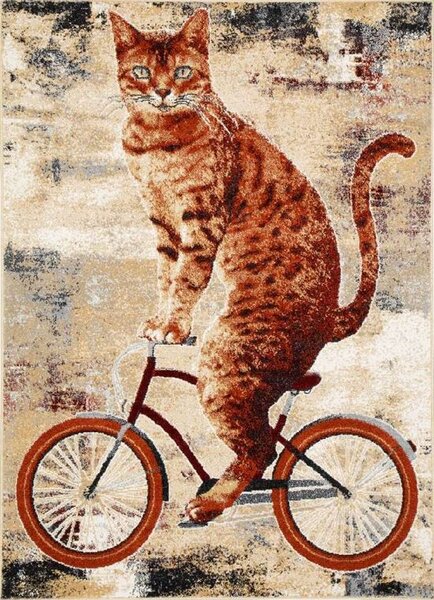 Moderní kusový koberec Agnella Gizel Kedi Kočka Kolo Hnědý Béžový Rozměr: 133x195 cm