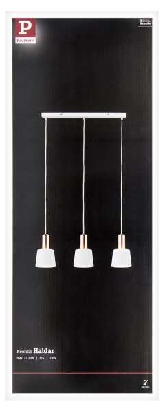 Paulmann 79657 - 3xE14/20W Lustr na lanku NEORDIC HALDAR 230V