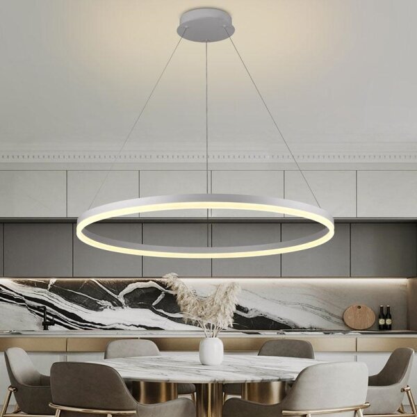 Brilagi - LED Stmívatelný lustr na lanku CIRCLE LED/55W/230V 3000-6500K + DO