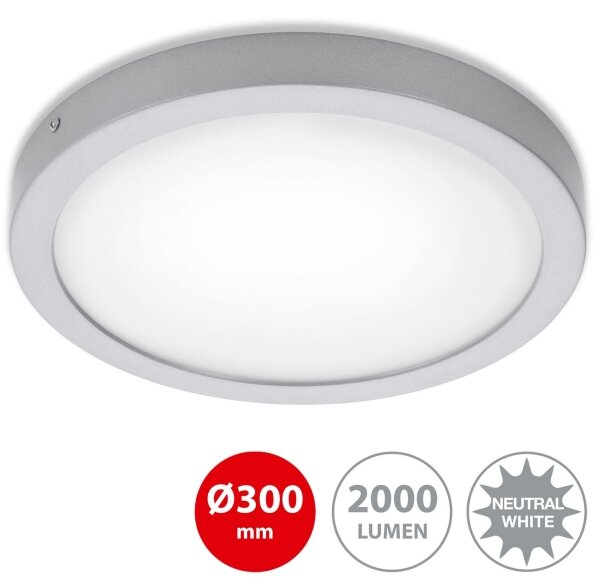 Briloner 7141-414 - LED Stropní svítidlo FIRE LED/21W/230V 4000K