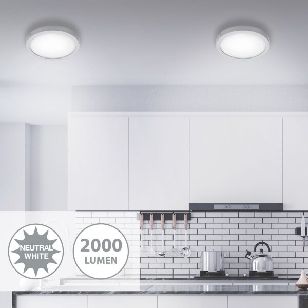 Briloner 7141-414 - LED Stropní svítidlo FIRE LED/21W/230V 4000K