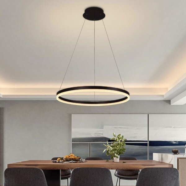 Brilagi - LED Stmívatelný lustr na lanku CIRCLE LED/42W/230V 3000-6500K + DO