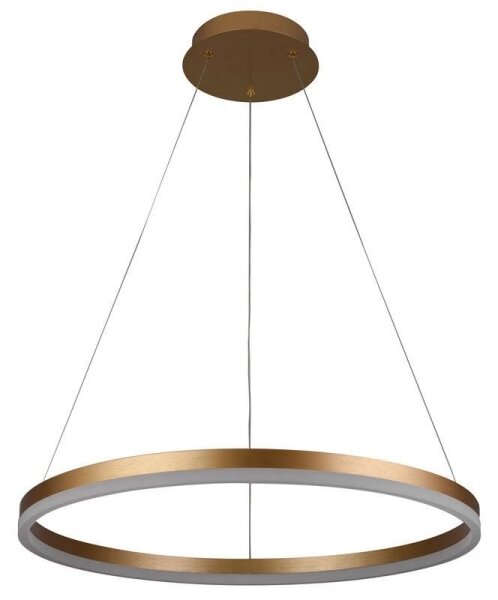 Brilagi - LED Stmívatelný lustr na lanku CIRCLE LED/42W/230V 3000-6500K + DO