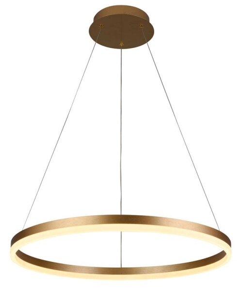 Brilagi - LED Stmívatelný lustr na lanku CIRCLE LED/42W/230V 3000-6500K + DO