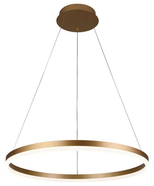 Brilagi - LED Stmívatelný lustr na lanku CIRCLE LED/42W/230V 3000-6500K + DO