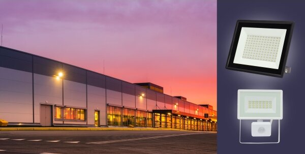 LED Venkovní reflektor NOCTIS LUX 3 LED/30W/230V 3000K IP65 bílá