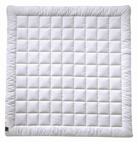 CELOROČNÍ PŘIKRÝVKA, 200/200 cm, polyester Billerbeck - Přikrývky