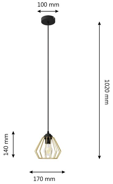 Lustr na lanku AGAT 1xE27/15W/230V zlatá/černá