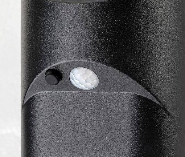 Rabalux 77013 - LED Solární svítidlo se senzorem SEPIK LED/3,6W/3,7V IP44