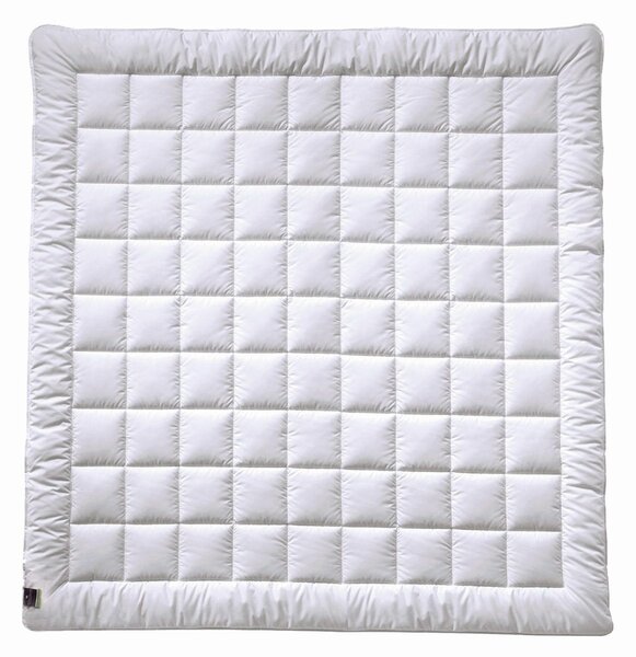 LETNÍ PŘIKRÝVKA, 200/200 cm, hedvábí Billerbeck - Přikrývky