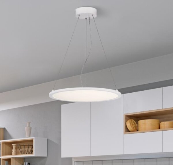 Westinghouse 65751 - LED Stmívatelný lustr na lanku ATLER LED/32W/230V 45 cm