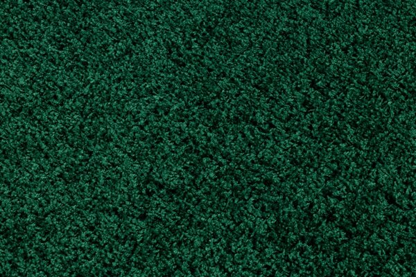 Makro Abra Kusový koberec jednobarevný SOFFI shaggy 5cm zelený Rozměr: 60x100 cm