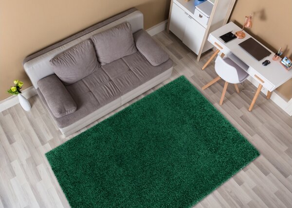 Makro Abra Kusový koberec jednobarevný SOFFI shaggy 5cm zelený Rozměr: 60x100 cm