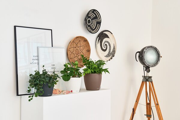 Samozavlažovací květináč Classico Color, průměr 14 cm, bílá