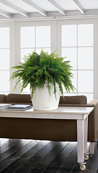 Samozavlažovací květináč Classico Color, průměr 14 cm, bílá