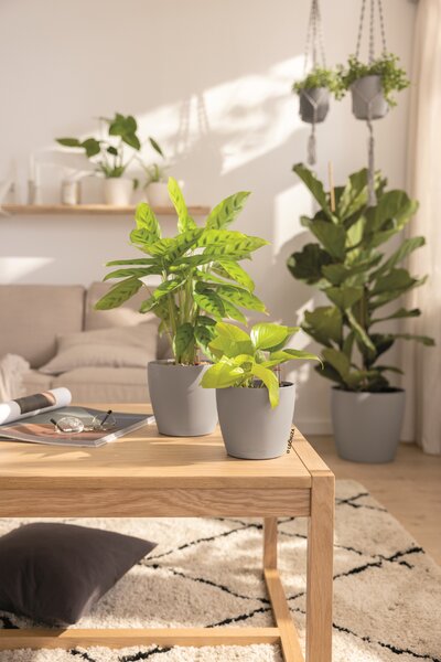 Samozavlažovací květináč Classico Color, průměr 14 cm, písková hnědá