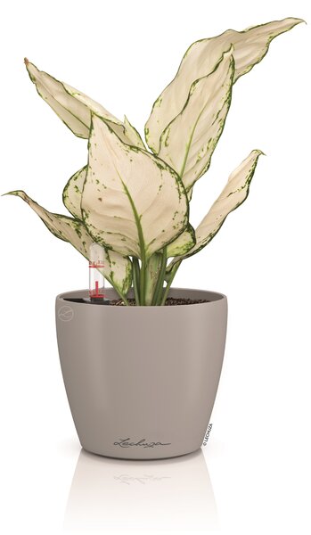 Samozavlažovací květináč Classico Color, průměr 14 cm, písková hnědá