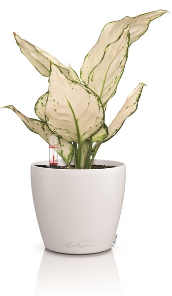 Samozavlažovací květináč Classico Color, průměr 14 cm, bílá