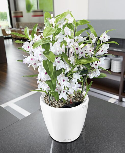 Samozavlažovací květináč Classico Color, průměr 14 cm, bílá