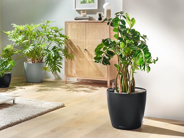 Samozavlažovací květináč Classico Color ECO, průměr 21 cm, tmavě šedá