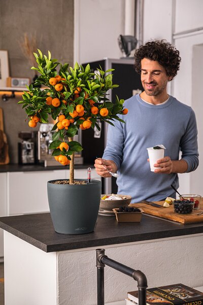 Samozavlažovací květináč Classico Color ECO, průměr 21 cm, tmavě šedá