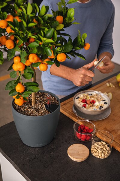 Samozavlažovací květináč Classico Color ECO, průměr 21 cm, tmavě šedá