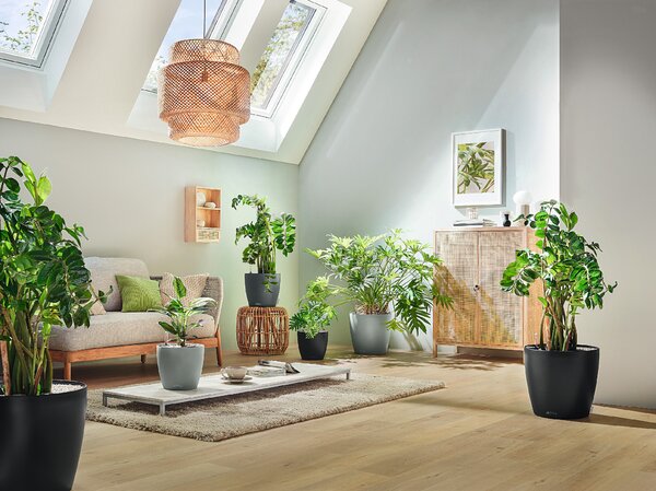 Samozavlažovací květináč Classico Color ECO, průměr 21 cm, tmavě šedá