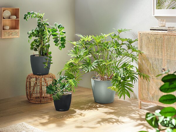 Samozavlažovací květináč Classico Color ECO, průměr 21 cm, tmavě šedá