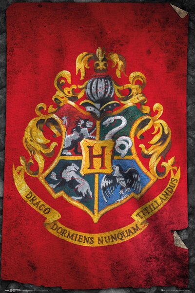 Plakát Harry Potter - Vlajka Bradavic
