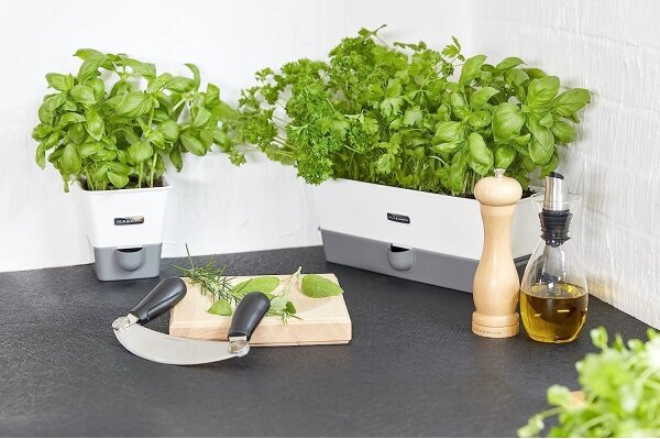 Cole&Mason - Mlýnek na sůl CAPSTAN BEECH buk 20 cm