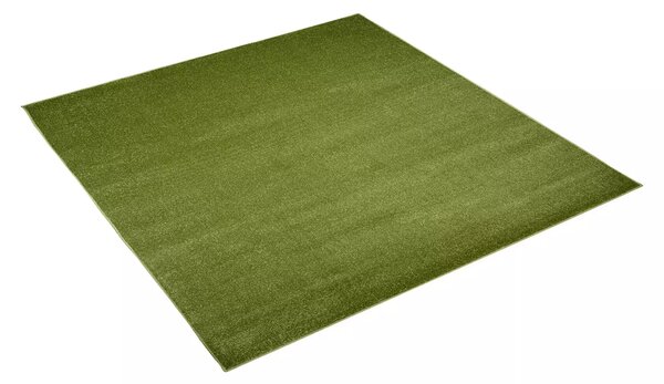 Makro Abra Kusový koberec jednobarevný MONO 6365A zelený Rozměr: 80x150 cm