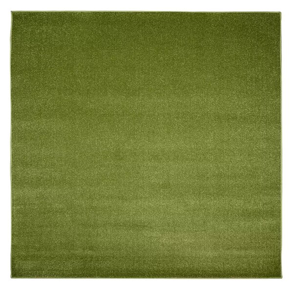 Makro Abra Kusový koberec jednobarevný MONO 6365A zelený Rozměr: 80x150 cm