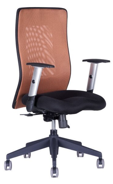 Kancelářská židle na kolečkách Office Pro CALYPSO GRAND BP – s područkami Světle šedá 12A11