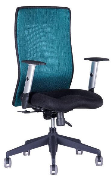 Kancelářská židle na kolečkách Office Pro CALYPSO GRAND BP – s područkami Světle šedá 12A11
