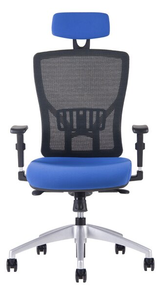 Kancelářská ergonomická židle HALIA MESH SP – s podhlavníkem, více barev Černá 2628
