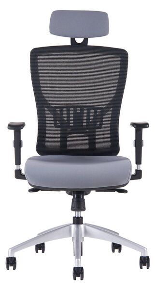 Kancelářská ergonomická židle HALIA MESH SP – s podhlavníkem, více barev Černá 2628
