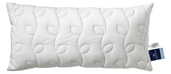 POLŠTÁŘ POD HLAVU, 40/80 cm Billerbeck - Polštáře pod hlavu