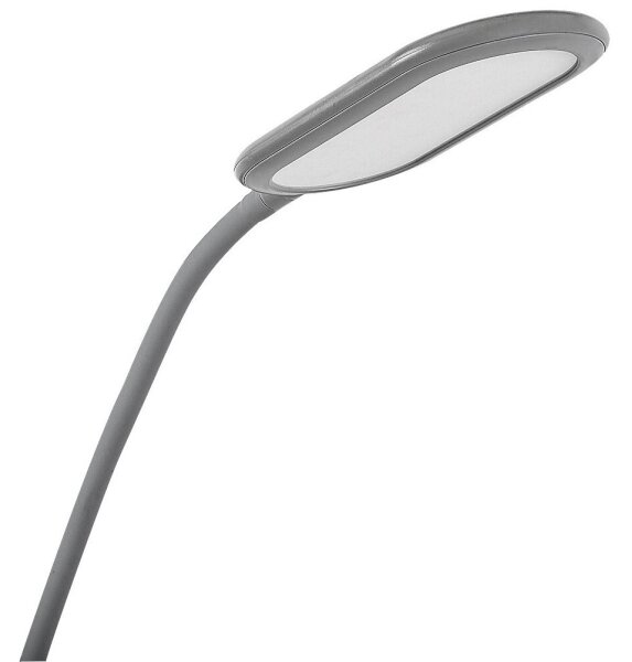 Rabalux 74010 - LED Stmívatelná dotyková stojací lampa ADELMO LED/10W/230V šedá